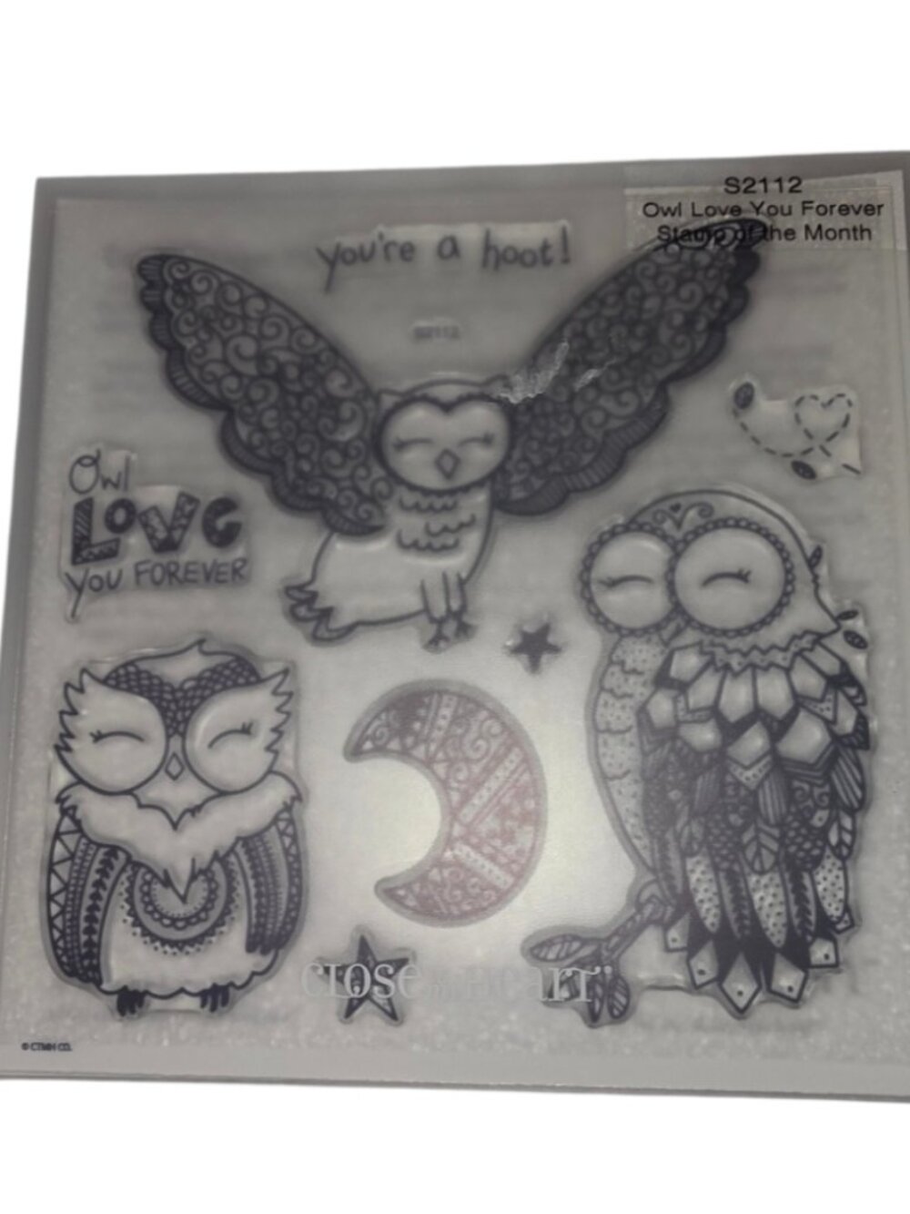 My Acrylix Owl Stamps Scrapbooking Close to My Heart Celestial Youre a Hoot Moon
